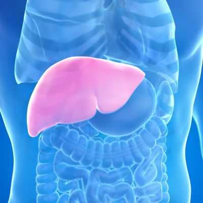 Liver Health: The Rise of Fatty Liver Disease in Jaipur