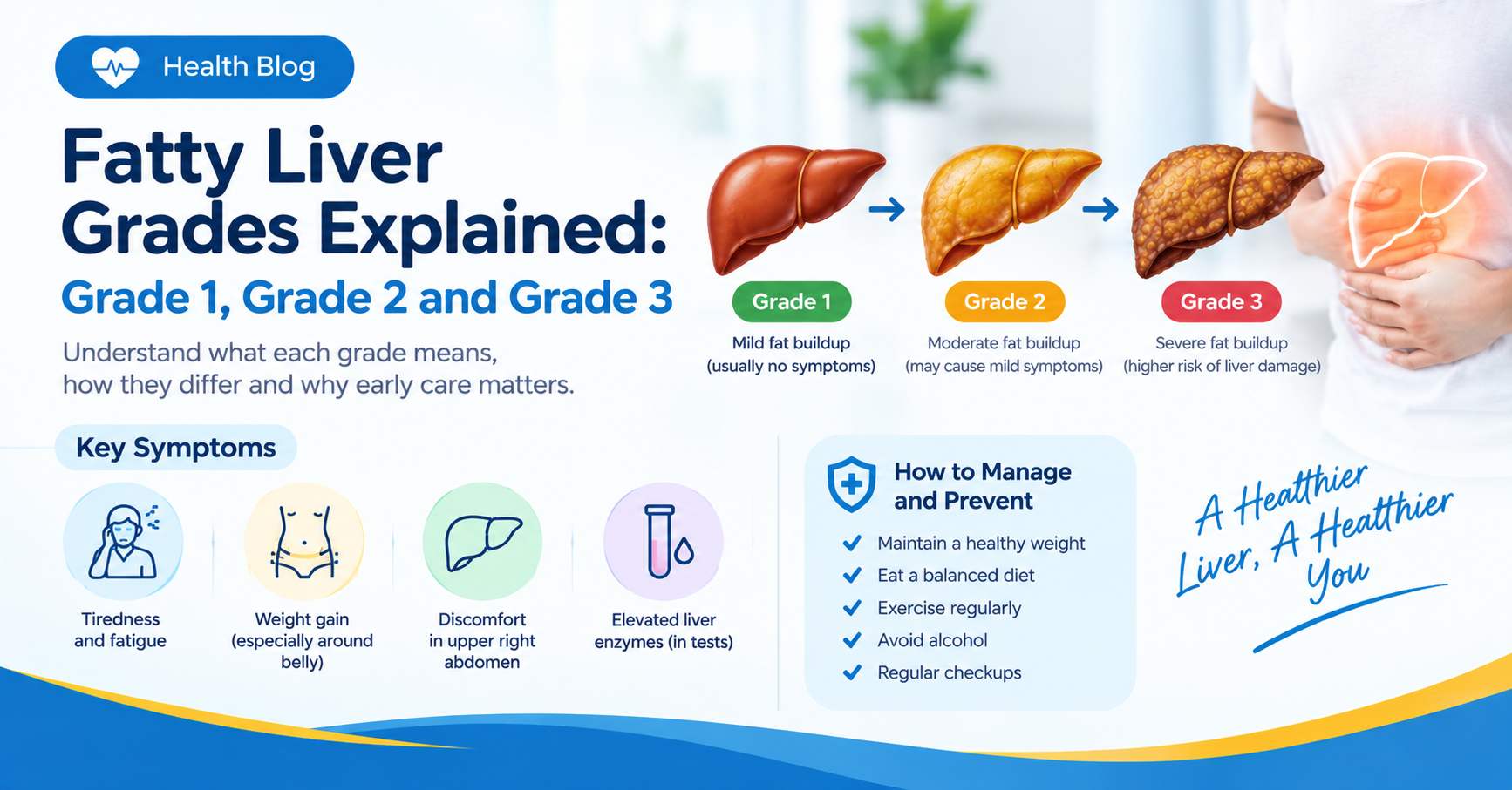 Fatty Liver Grades Explained Grade 1, Grade 2 and Grade 3